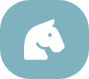 Icon Pferd hellblau