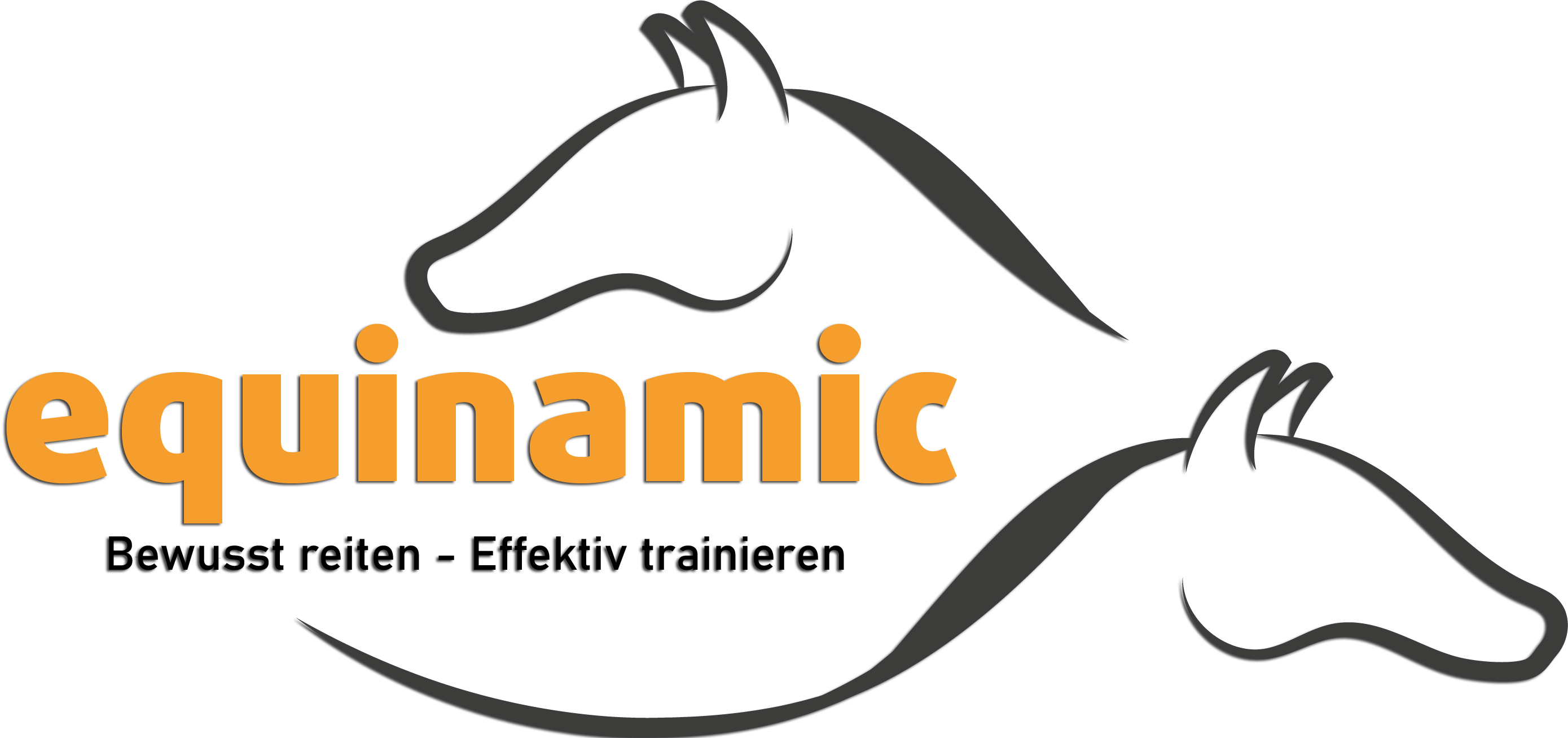 equinamic Logo