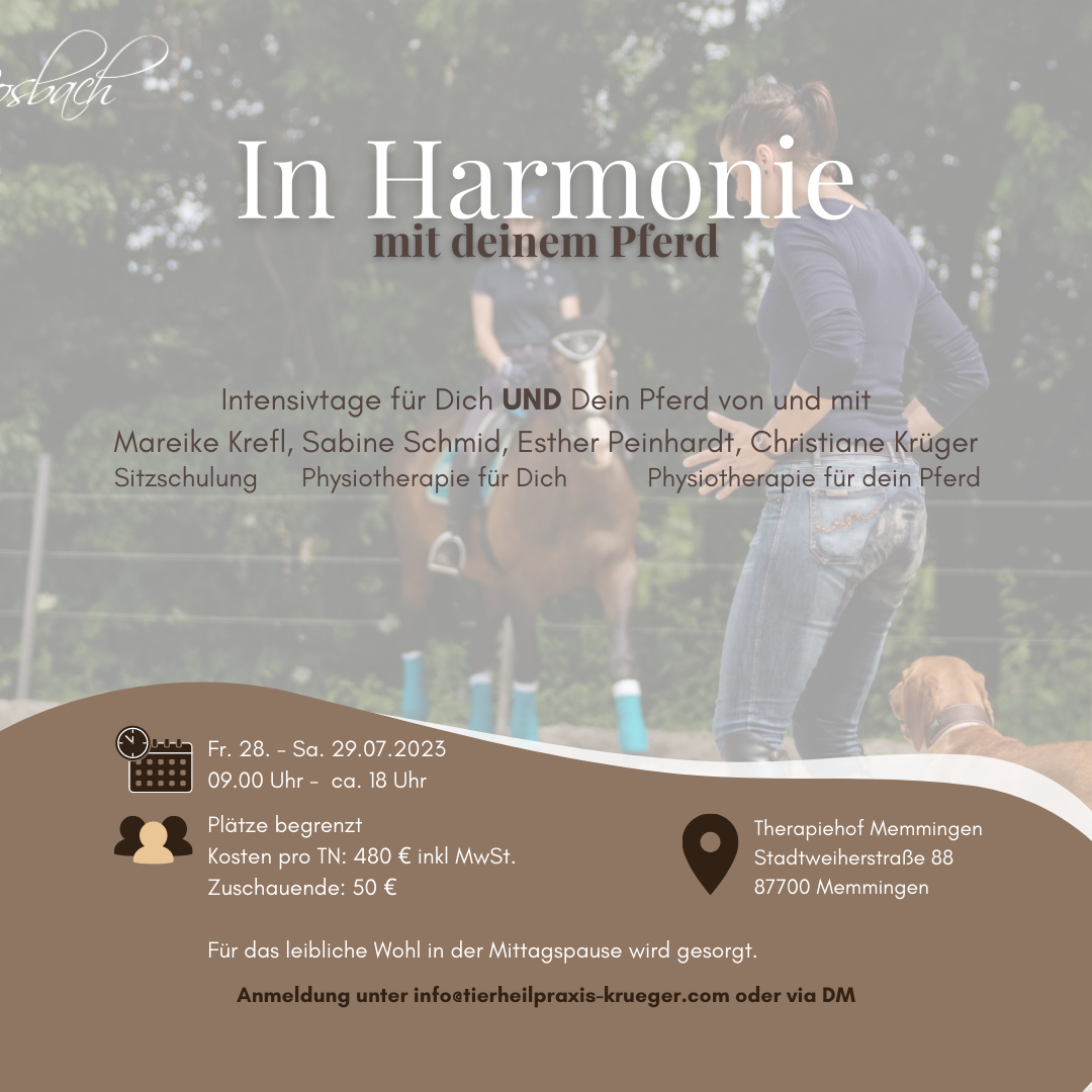In Harmonine – Intensivtage für Dich und Dein Pferd (Memmingen)