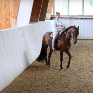 Eine Frau reitet auf einem Pferd und zeigt das Renvers.