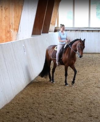 Eine Frau reitet auf einem Pferd und zeigt das Renvers.