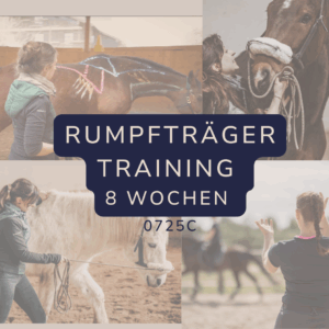 Rumpfträger Training Online | RTT8WC
