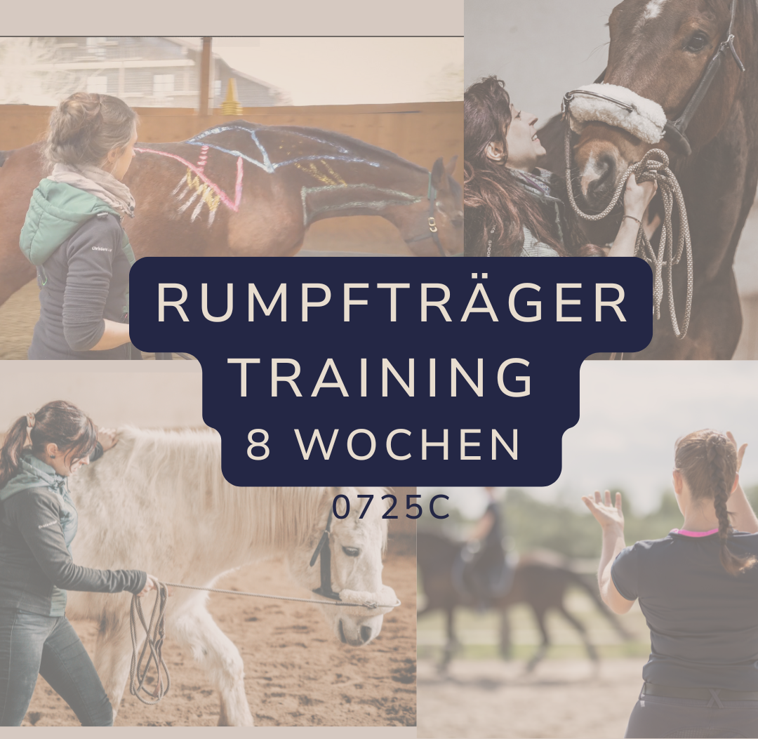 Start Rumpfträger Training 8 Wochen | RTT8W 0725C